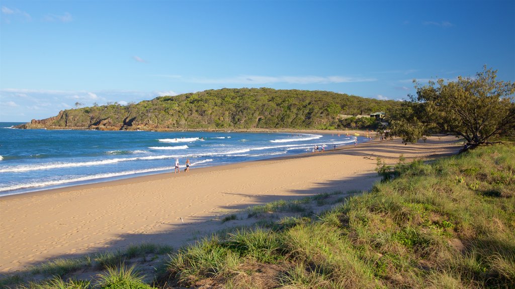 Plage d\'Agnes Water montrant baie ou port, vues littorales et plage de sable