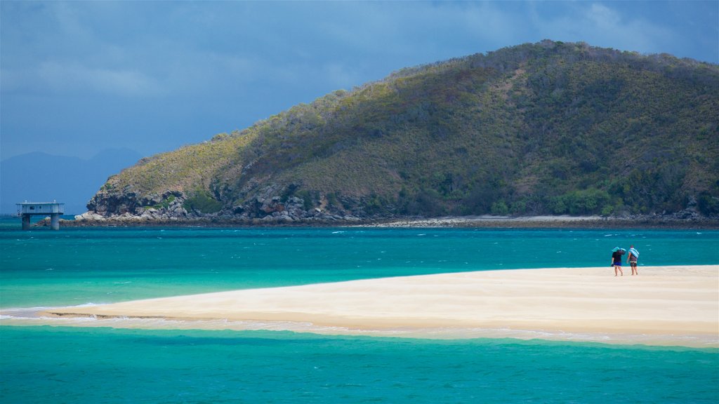 Great Keppel Beach welches beinhaltet Strand und allgemeine Küstenansicht