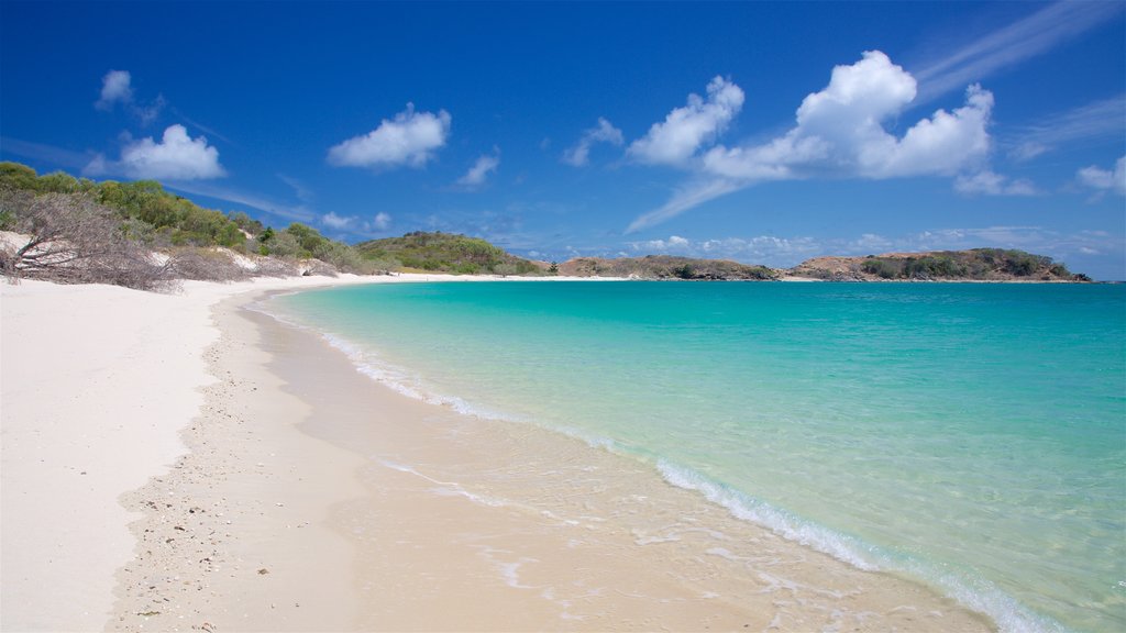 Great Keppel Island toont een zandstrand en algemene kustgezichten