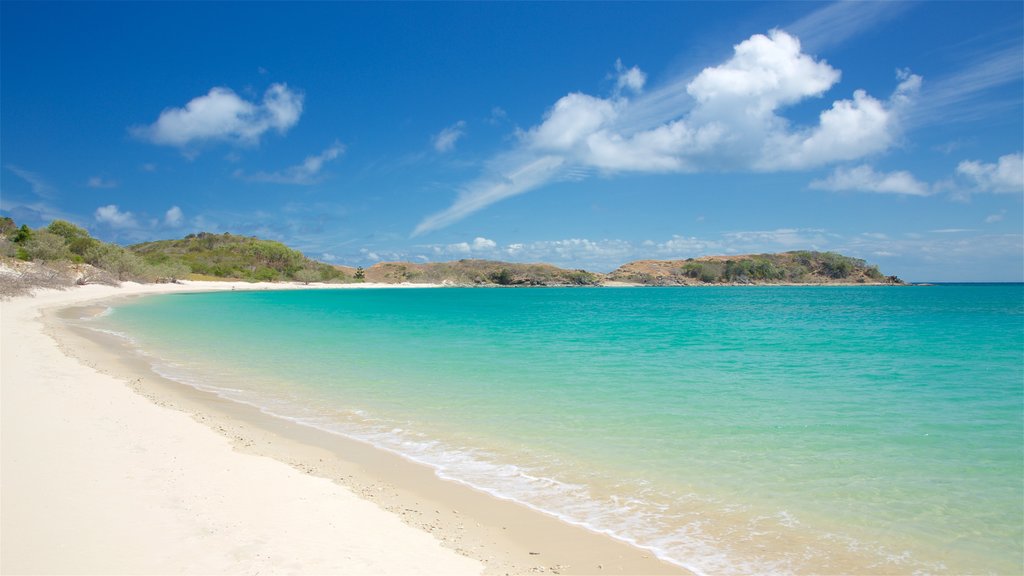 Great Keppel Island showing a beach and general coastal views