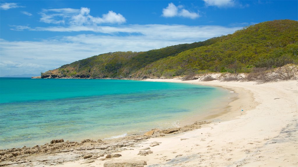 Great Keppel Island bevat algemene kustgezichten en een strand