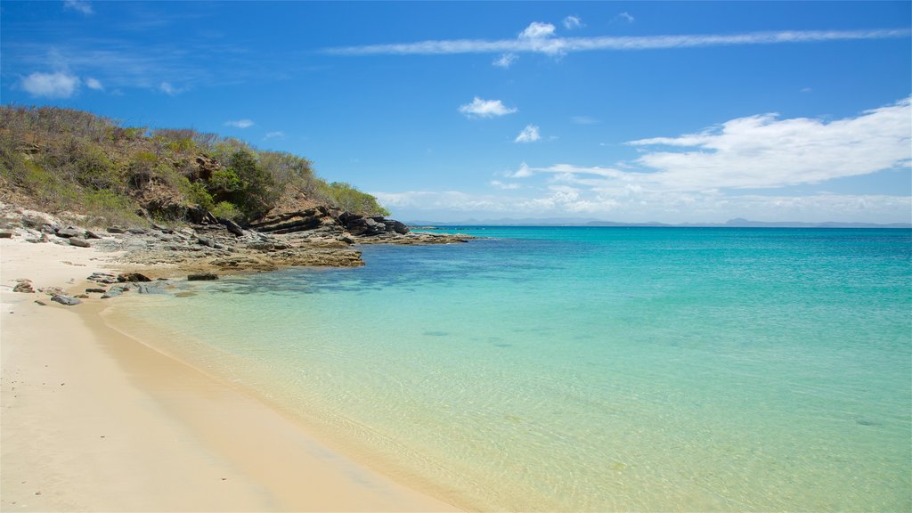 Great Keppel Island bevat een zandstrand, rotsachtige kustlijn en algemene kustgezichten