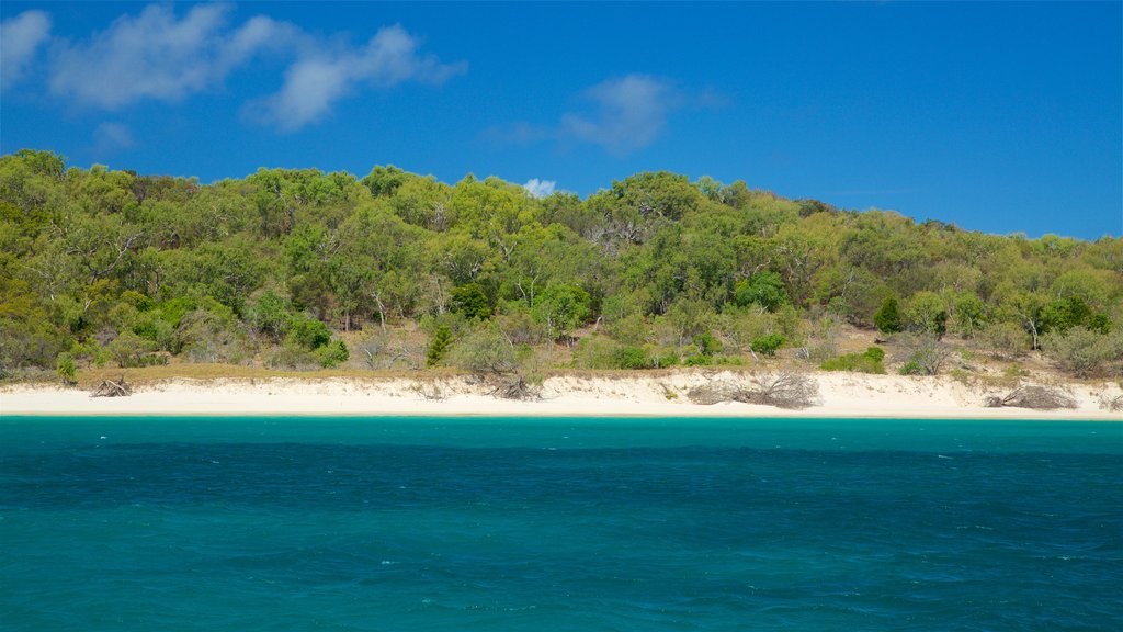 Isla Great Keppel que incluye una playa de arena y vista general a la costa