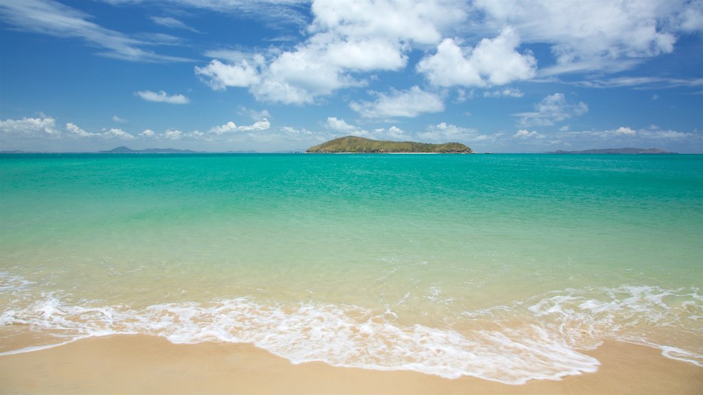 Great Keppel che include vista della costa, paesaggio tropicale e spiaggia