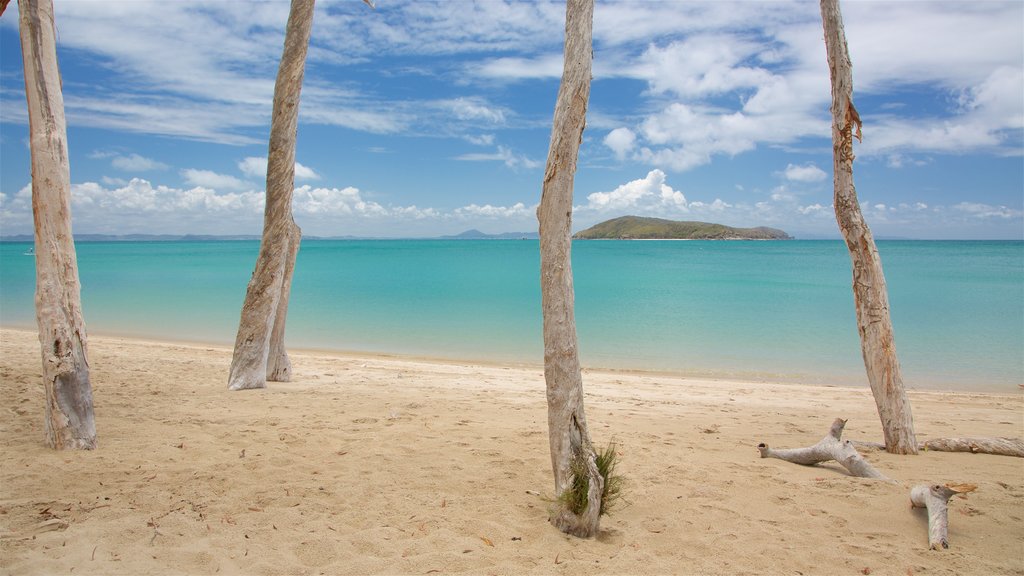 Great Keppel Island que inclui cenas tropicais, uma praia e paisagens litorâneas