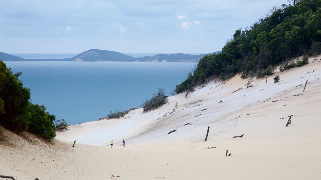 Sunshine Coast showing a sandy beach and general coastal views