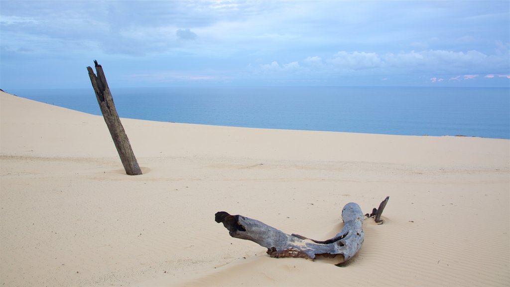 Sunshine Coast showing general coastal views and a sandy beach