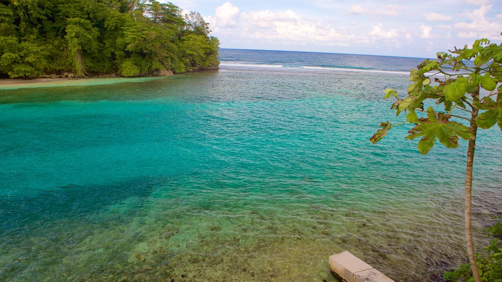 Port Antonio mostrando paisagens litorâneas e um rio ou córrego