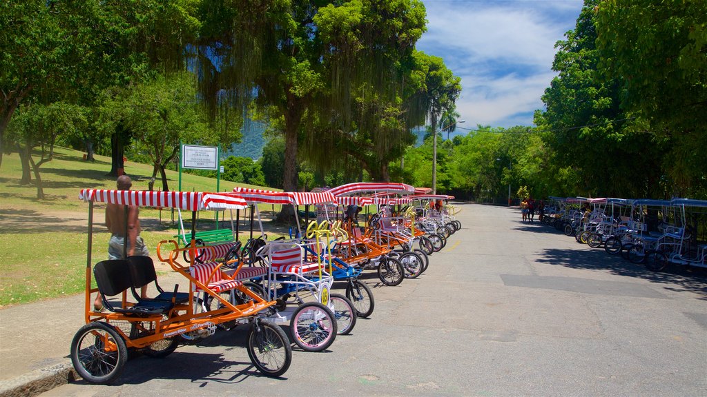 Parc de Boa Vista qui includes parc