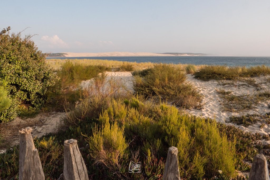 Arcachon_4.jpg?1563098396