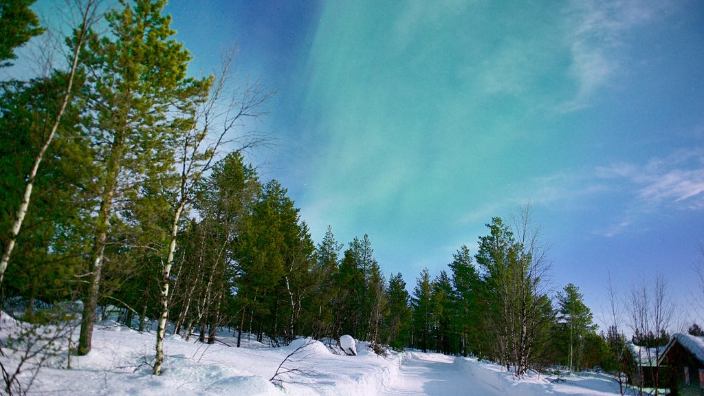 Kaaresuvanto que incluye aurora boreal, escenas tranquilas y nieve