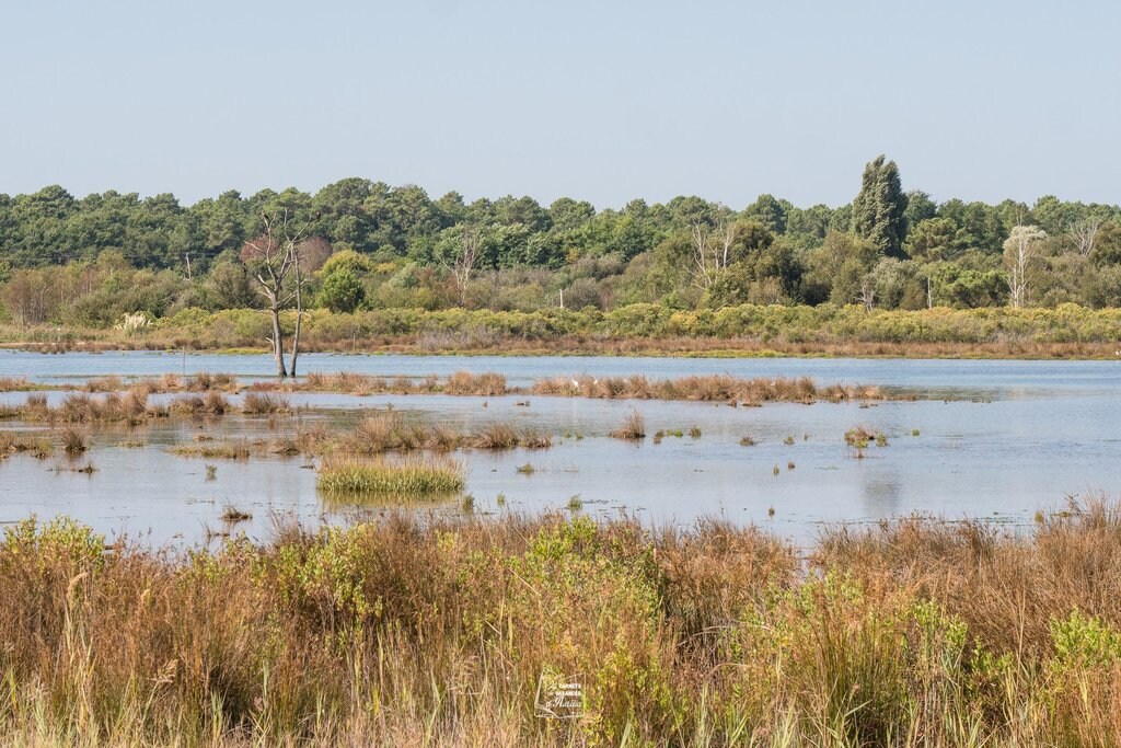 Arcachon_22.jpg?1563100847