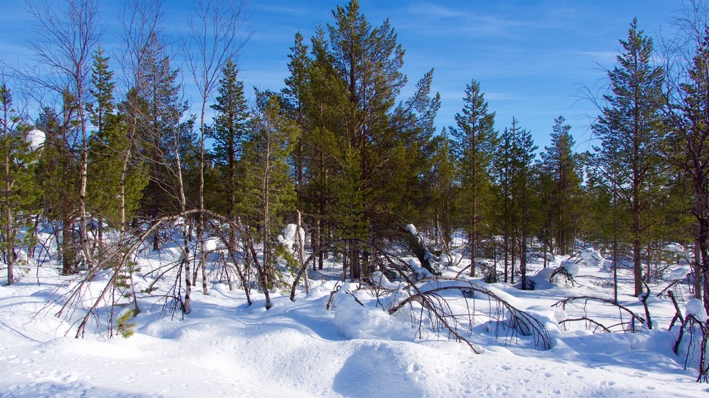 Kaaresuvanto qui includes scènes tranquilles et neige