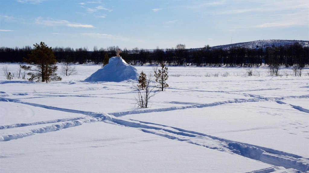 Kaaresuvanto qui includes neige et scènes tranquilles