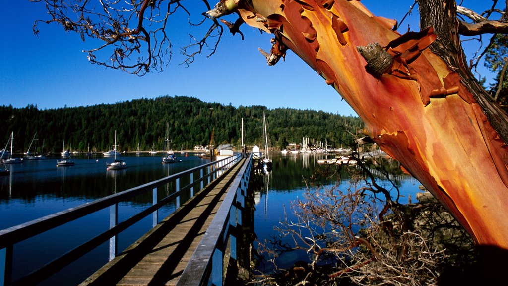 Pender Island qui includes une baie ou un port et paysages côtiers