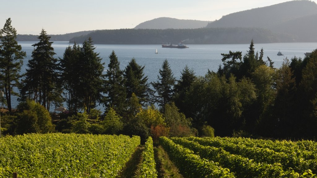 Pender Island som visar en hamn eller havsbukt, åkrar och skogslandskap