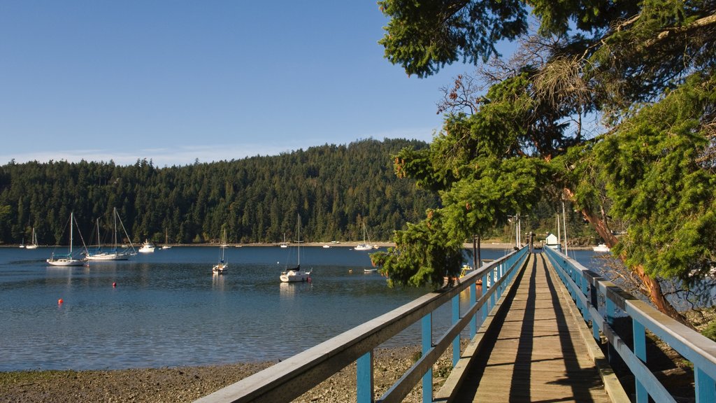 Pender Island mostrando bosques y una bahía o puerto