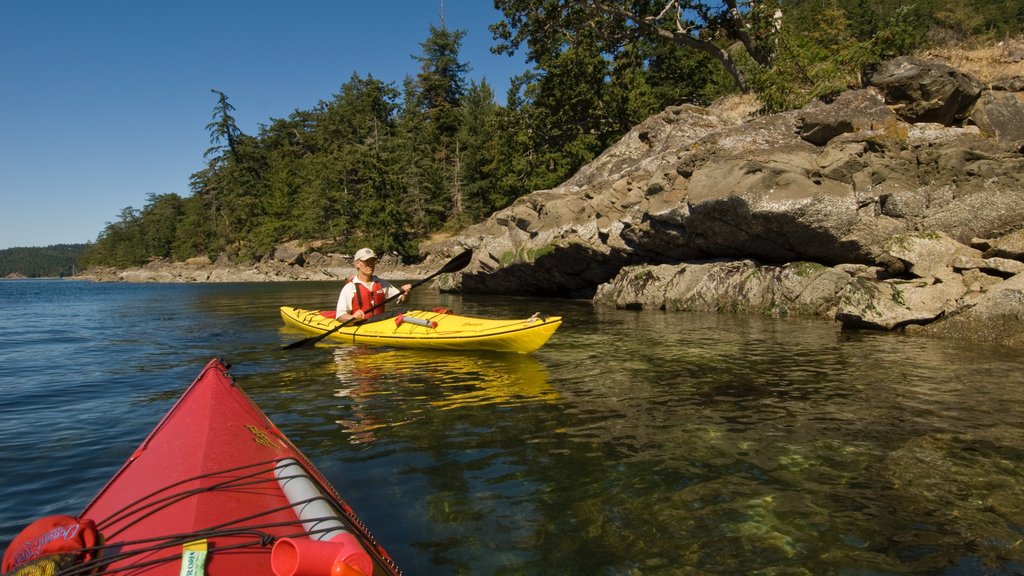 Pender Island showing rugged coastline, a bay or harbour and kayaking or canoeing