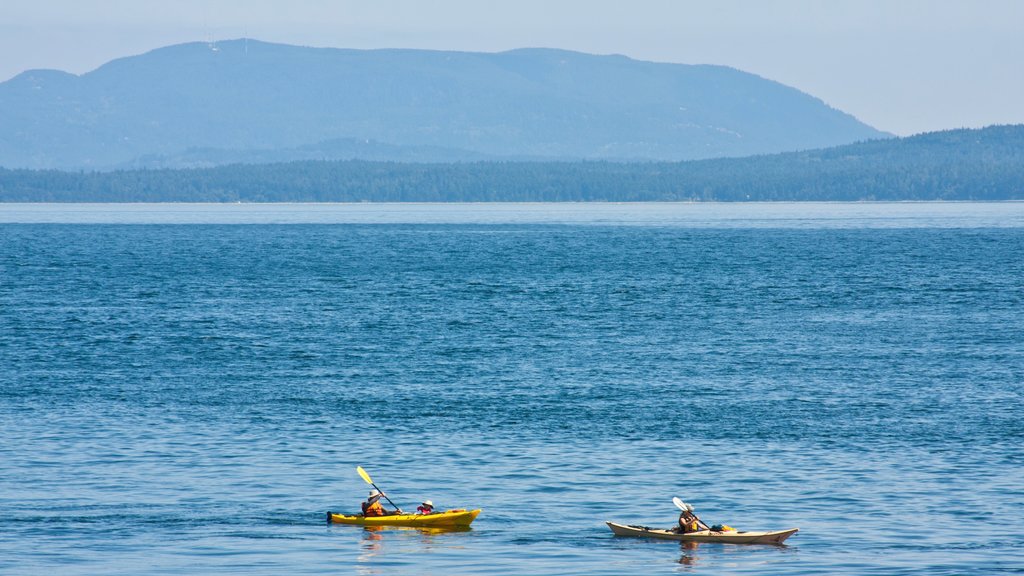 Pender Island mostrando caiaque ou canoagem, imagens da ilha e uma baía ou porto