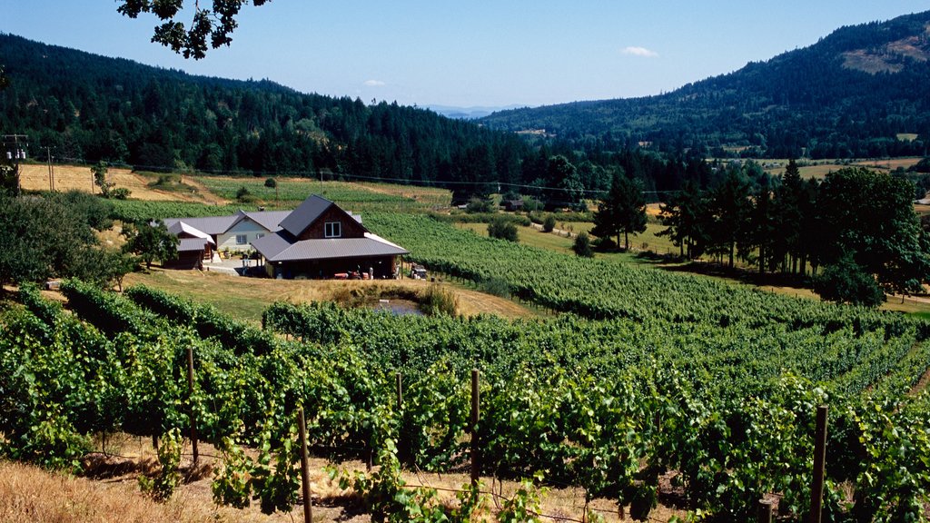 Salt Spring Island showing tranquil scenes