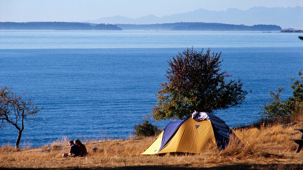 Salt Spring Island ofreciendo una bahía o puerto, vistas de una isla y campamento