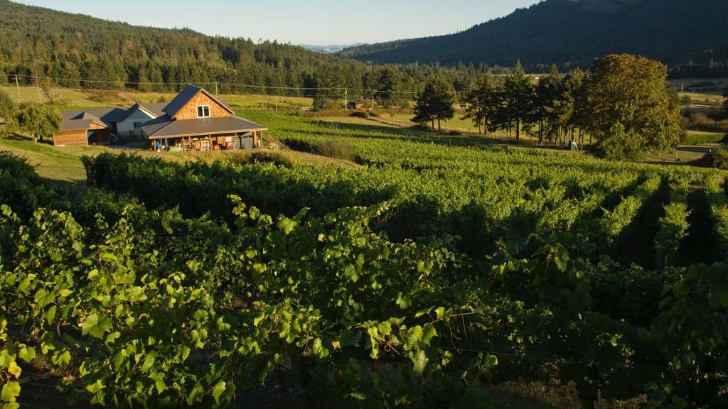 Salt Spring Island featuring tranquil scenes