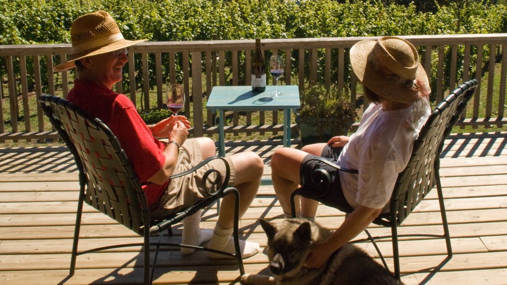 Salt Spring Island mostrando refrescos o bebidas y también una pareja