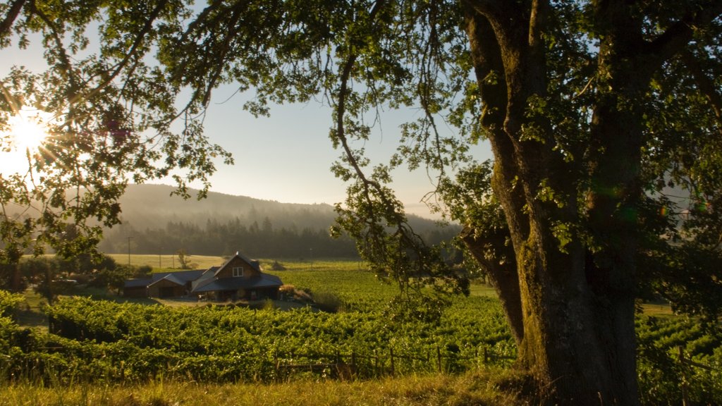 Salt Spring Island qui includes un coucher de soleil