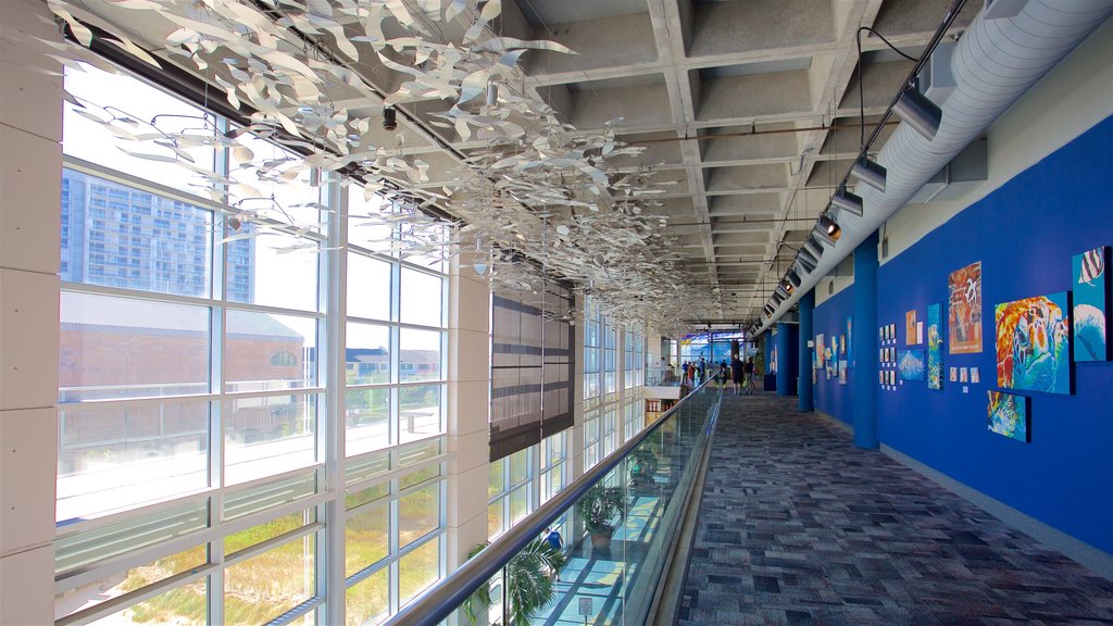 South Carolina Aquarium som viser livet i havet og interiør