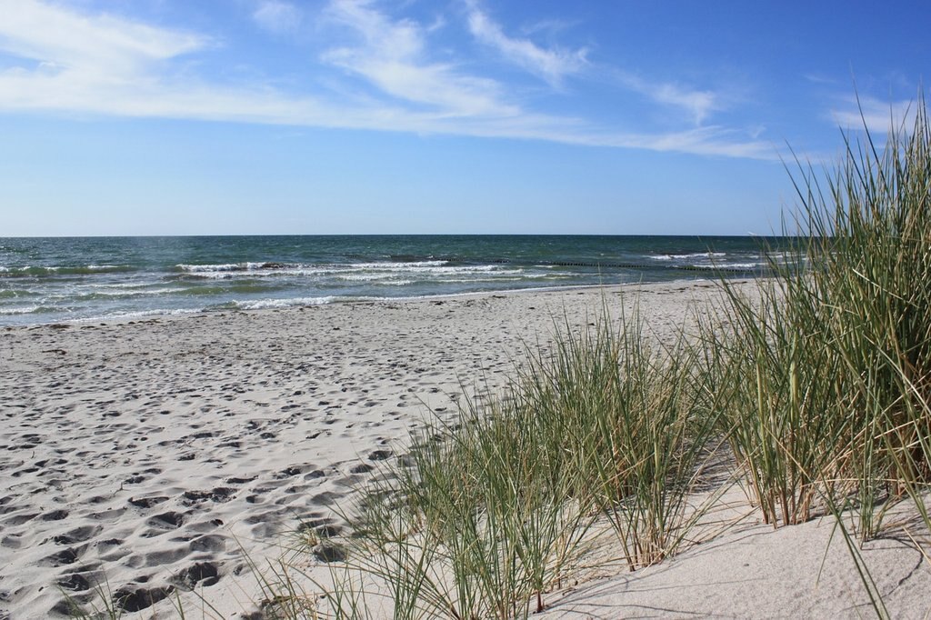 hiddensee-ruegen.jpg?1552654367