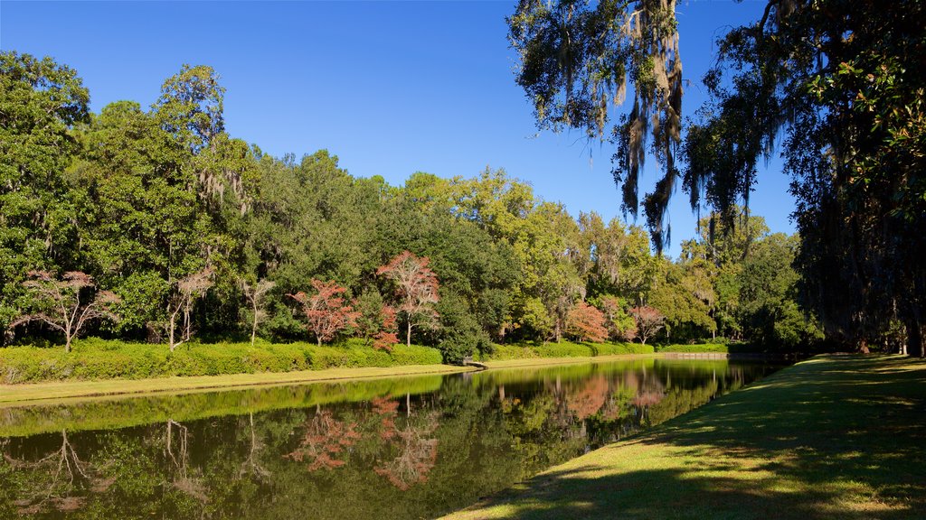 Middleton Place montrant rivière ou ruisseau et parc