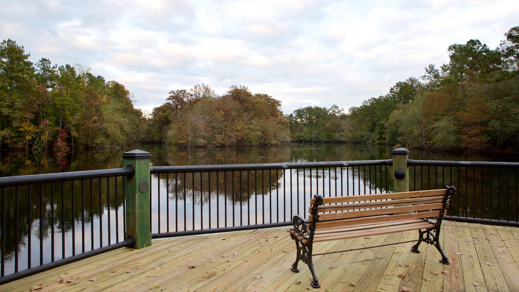 Conway Riverwalk showing views and wetlands