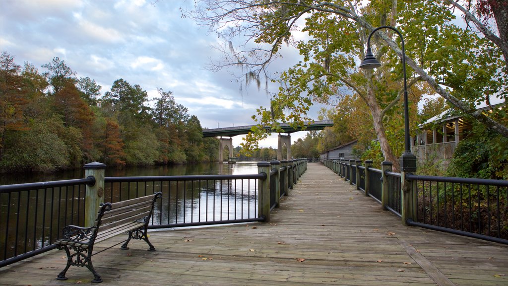 Conway Riverwalk featuring a bridge, wetlands and a river or creek