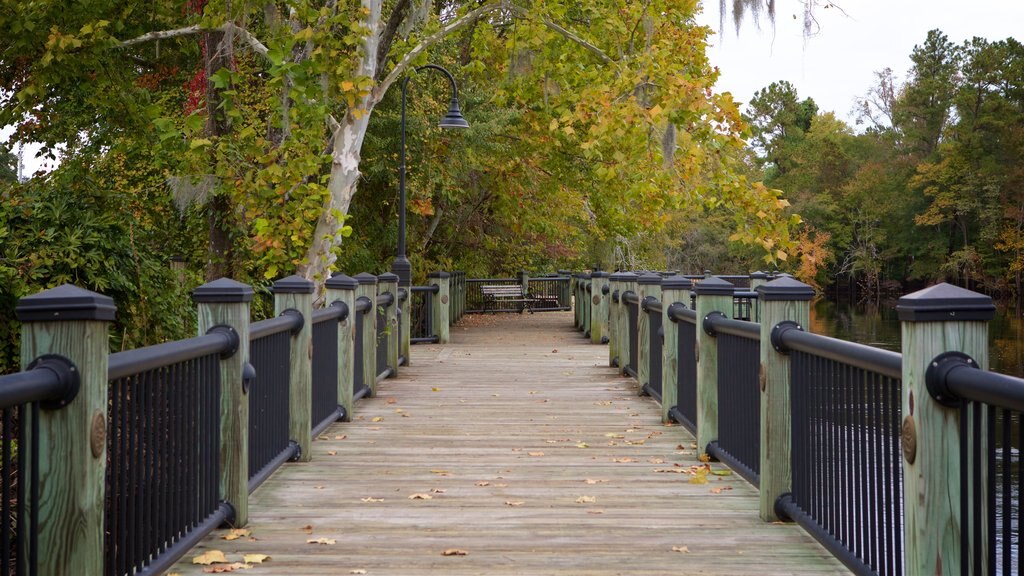 Conway Riverwalk bevat wetlands en een rivier of beek