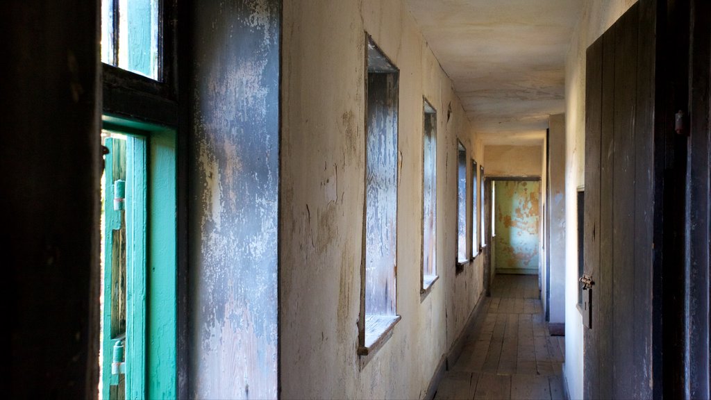 Aiken-Rhett House showing heritage elements and interior views