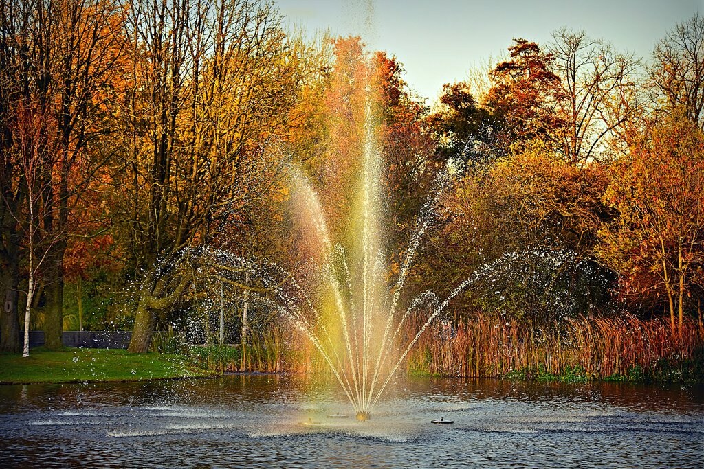 Vondelpark_Amsterdam.jpg?1569584493