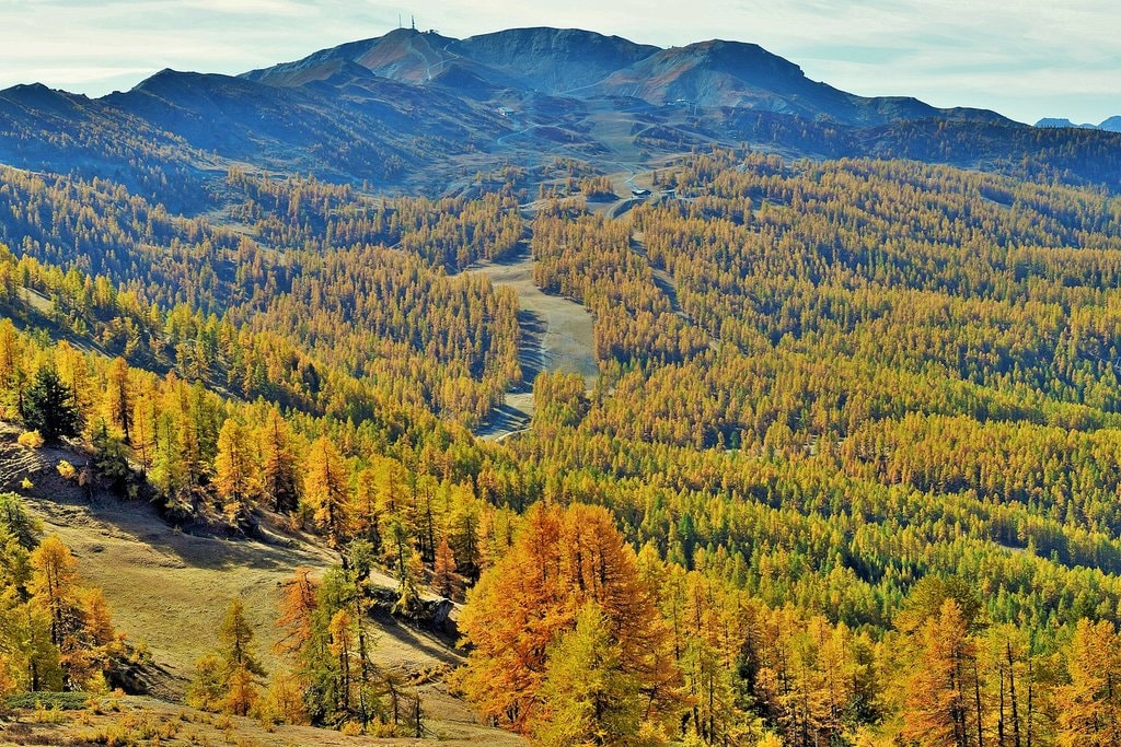 1620px-Veduta_del_Granbosco_in_autunno.jpg?1563965556