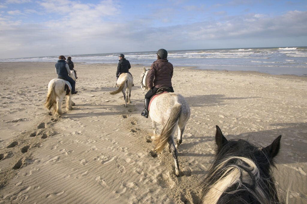 Que faire au Touquet tout ce qu'il faut savoir Explore par Expedia Que faire au Touquet tout ce qu'il faut savoir Explore par Expedia