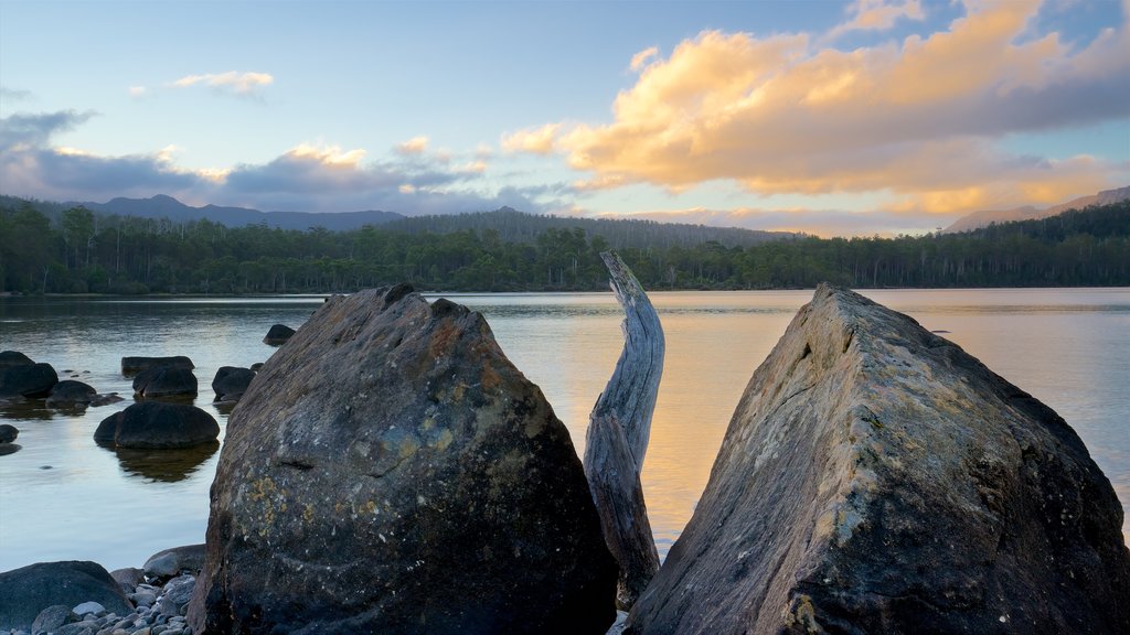 Lake St. Clair showing rocky coastline, a lake or waterhole and wetlands