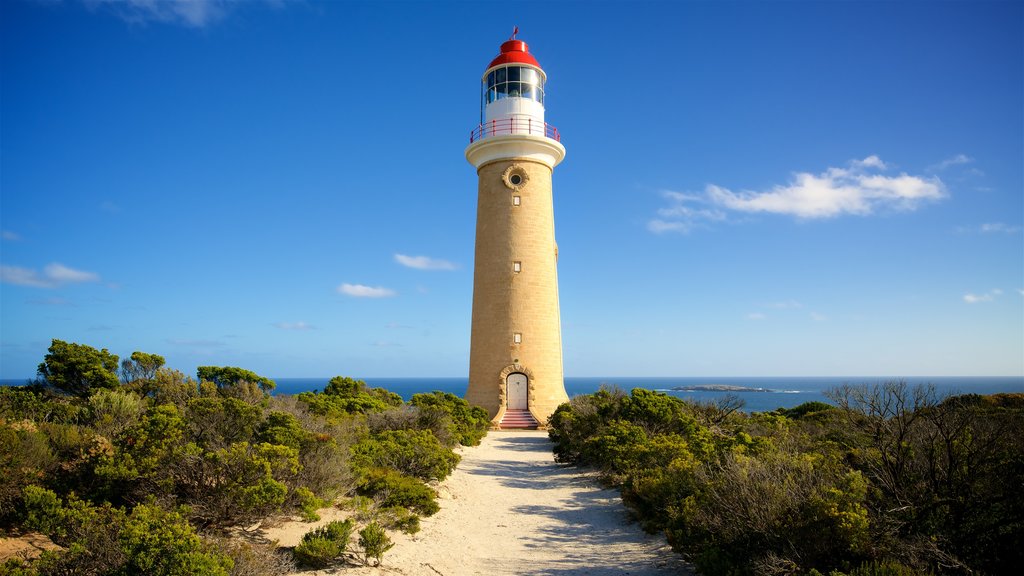 Flinders Chase National Park showing general coastal views and a lighthouse