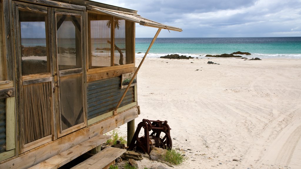 Snelling Beach which includes general coastal views and a sandy beach