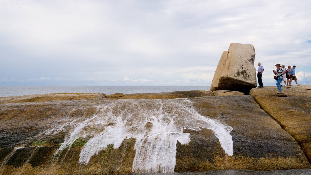 Bicheno featuring rugged coastline as well as a small group of people