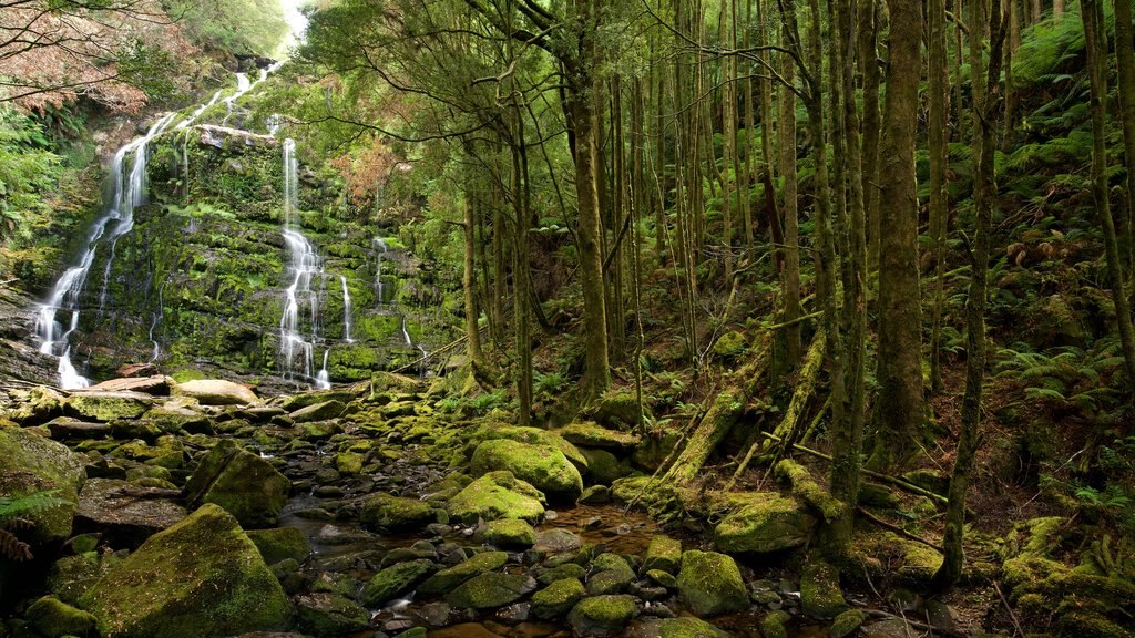 Queenstown featuring a cascade and forest scenes