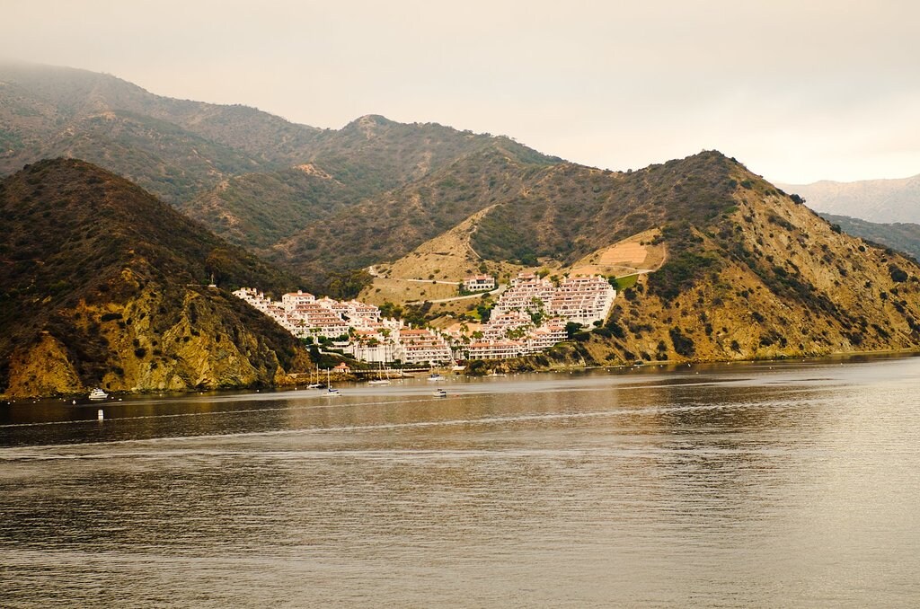 1631px-Catalina_Island_and_Ensenada_Cruise_-_panoramio_%2857%29.jpg?1568717389