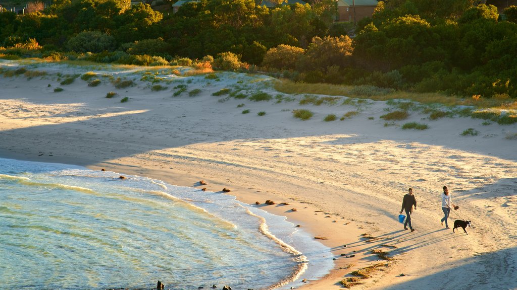 Penneshaw que incluye una playa de arena, un atardecer y vistas de una costa