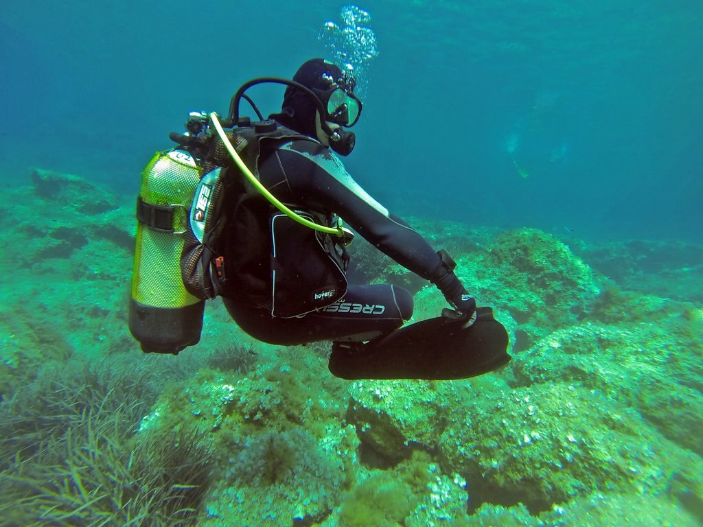 scuba-diver-1062895_1920.jpg?1570618111