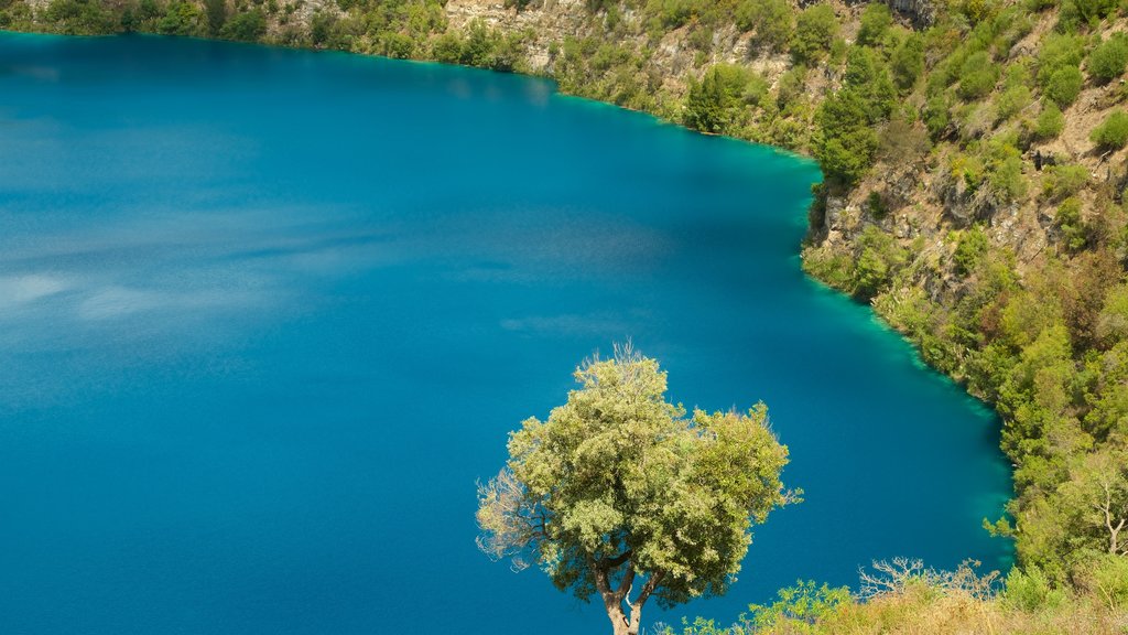 Reserva natural Blue Lake ofreciendo un lago o espejo de agua