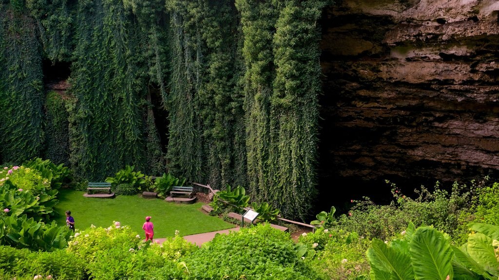 Mount Gambier som inkluderer park