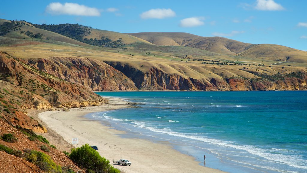 Playa de Aldinga ofreciendo vista general a la costa y una playa