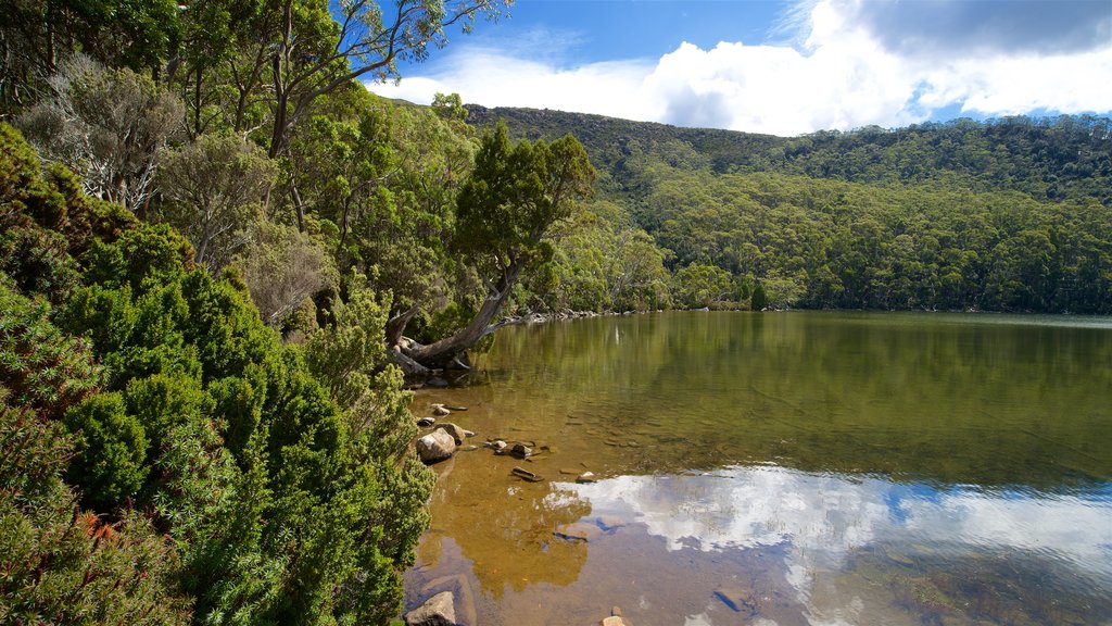 Mt. Parque Nacional Field ofreciendo un lago o abrevadero y escenas tranquilas